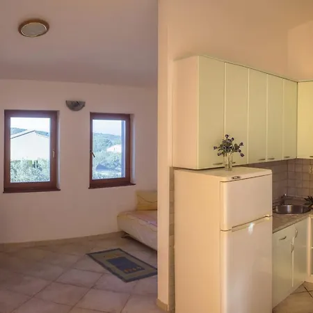 Apartment Visnja
