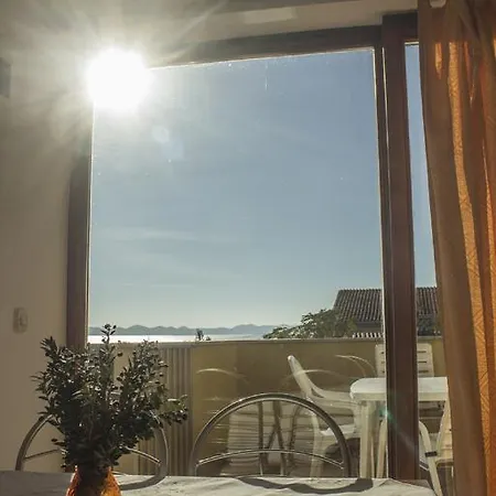 Visnja Pašman
